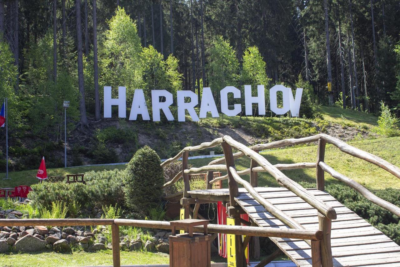Enjoy Harrachov - Atraktivní klidný klimatizovaný apartmán 20 v centru Harrachova s wallboxem EV, herní konzolí, Ipad, Netflix, výhledem do zahrady a na romantický kostelík Exterior foto